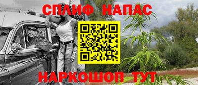 мяу мяу мука Гусиноозёрск